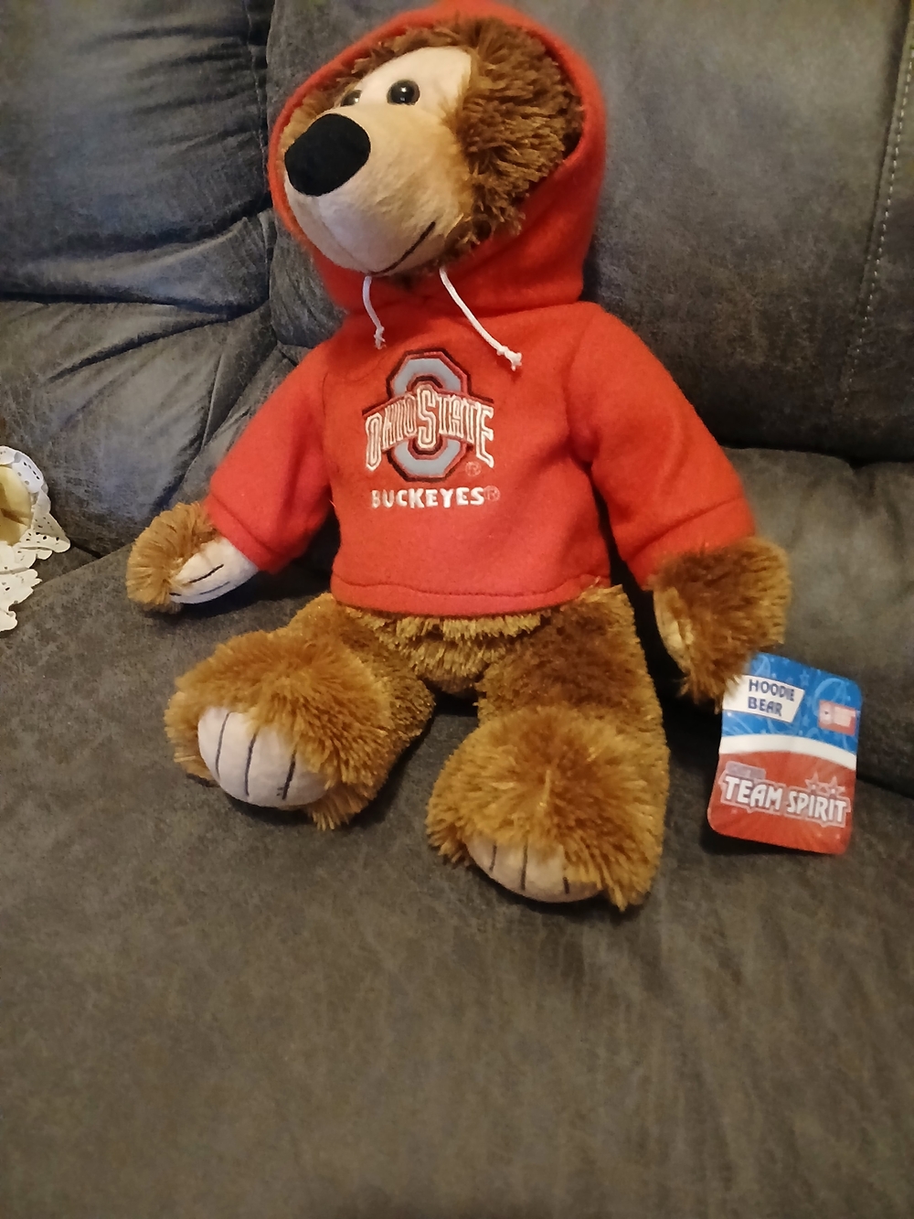Ohio State Buckeyes Red Hoodie Bear Plush